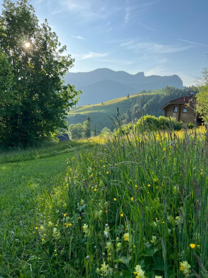 Tauglerei Appartement Enzian In Den Zauberbergen Sankt Koloman Buitenkant foto